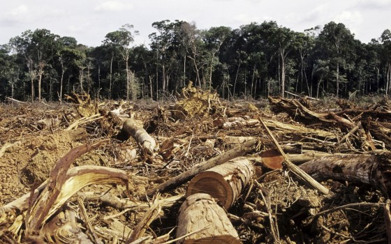 http://www.toute-lactu.com/2011/11/25/600-millions-de-dollars-pour-lutter-contre-la-deforestation/