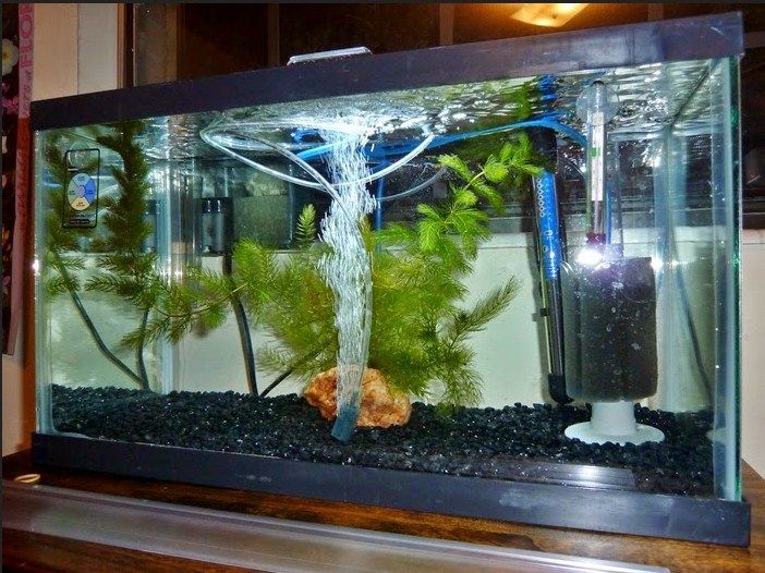 Menjual Akurium Polos Akuarium Dekor