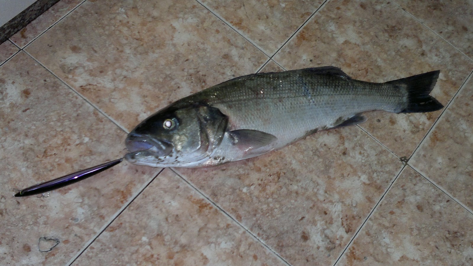 rickyvadepesca: LOS SEÑUELOS SPINNING: Mi ranking personal.