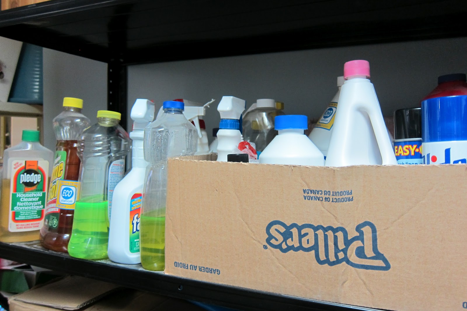 rug doctor spot cleaner rental