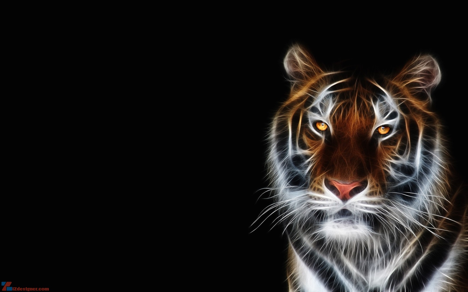 Imagenes de tigres para fondo de pantalla hd ~ Fondos de pantalla HD