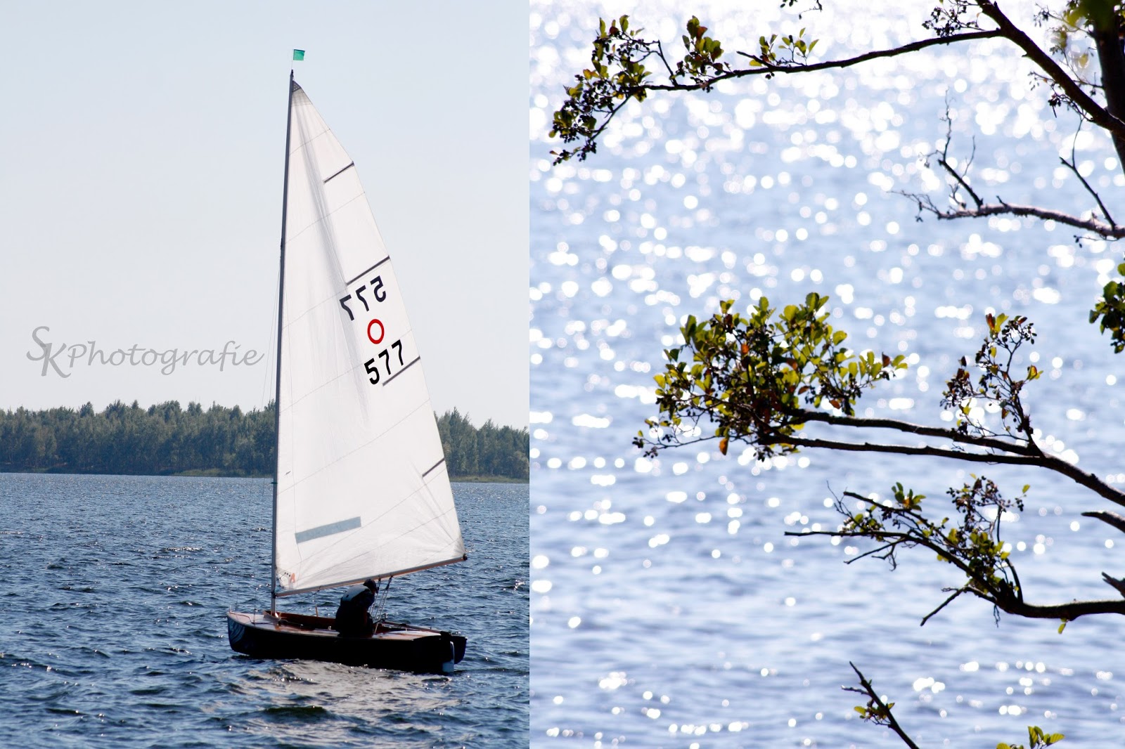 Tatis Laufwelt Ausflug Ins Lausitzer Seenland