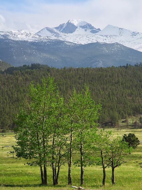 Longs Peak in Spring in Rocky Mountain National Park Moraine Park area