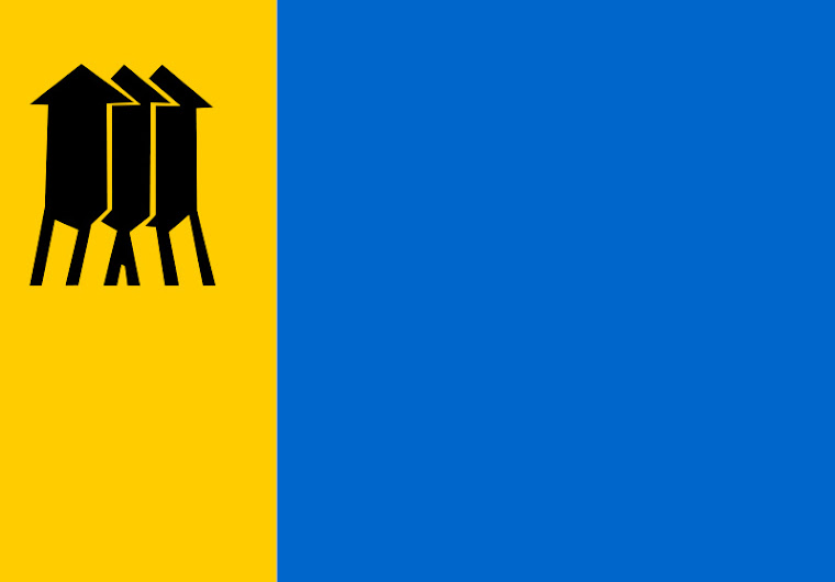 Bandeira do Município de Porto Velho