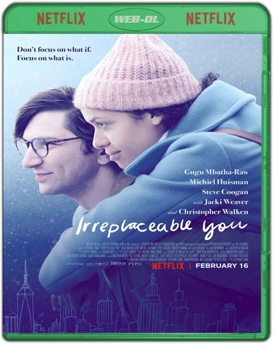 Irreplaceable You (2018) 1080p NF WEB-DL [Multi-Audio] [Multi-Subs] [Drama. Comedia. Enfermedad]