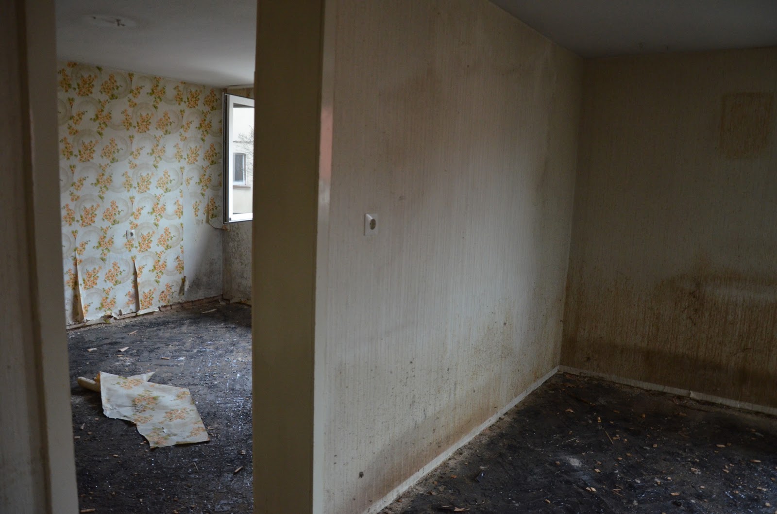 Bautagebuch - Unser Weg zum eigenen Haus: Vorher - Nachher