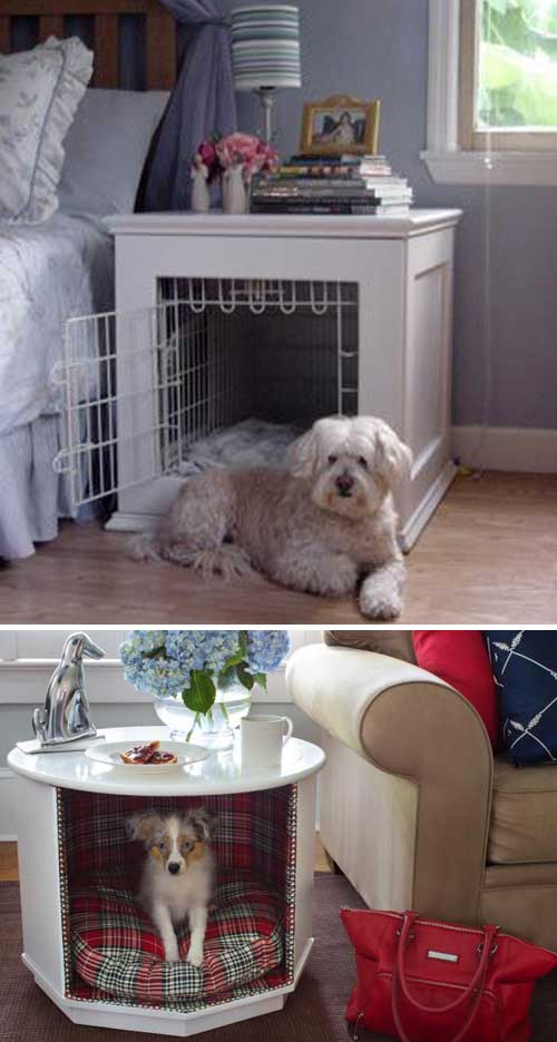 Idea Pet Home Decor