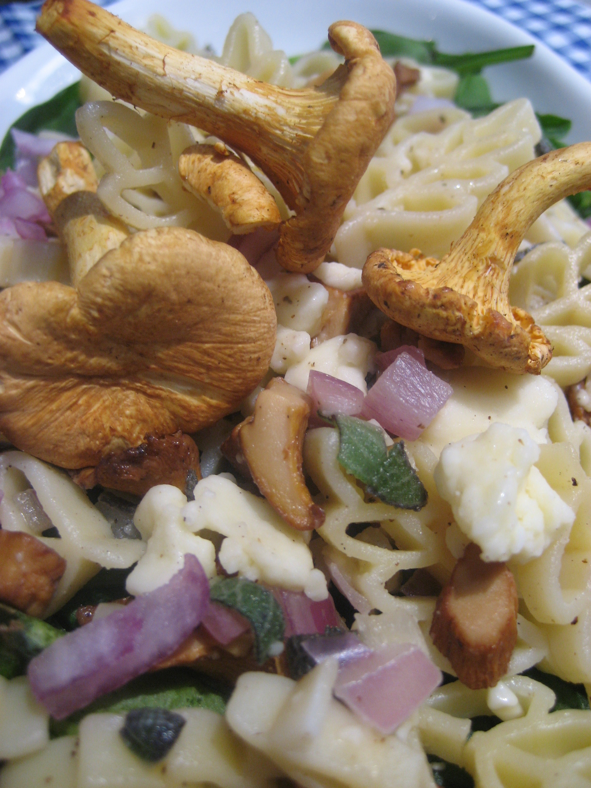Marie est dans son assiette! Salade de pâtes aux chanterelles des bois
