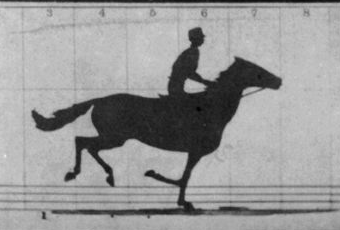 The Galloping Horse Problem And The World's First Motion Picture | Amusing  Planet