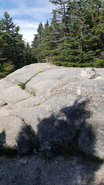 Sentier menant au sommet du mont Osceola