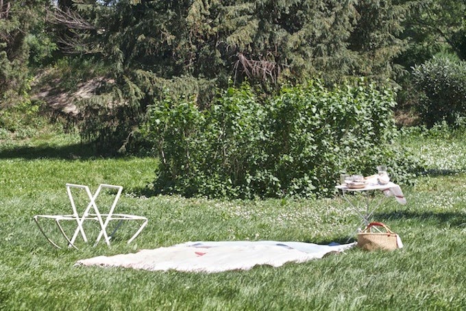 picnic en la provenza