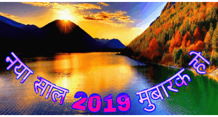 18 best happy new year 2019 images GIF pictures photos 