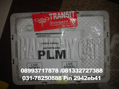 Hamster Dan Kucing Persia Murah Surabaya: 09/01/2012 - 10/01/2012
