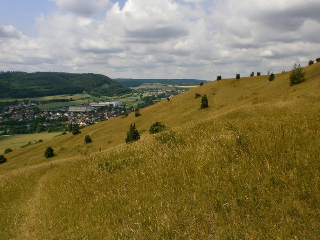Die Schwäbische Alb und ihre Natur Naturschutzgebiet Ipf bei Bopfingen