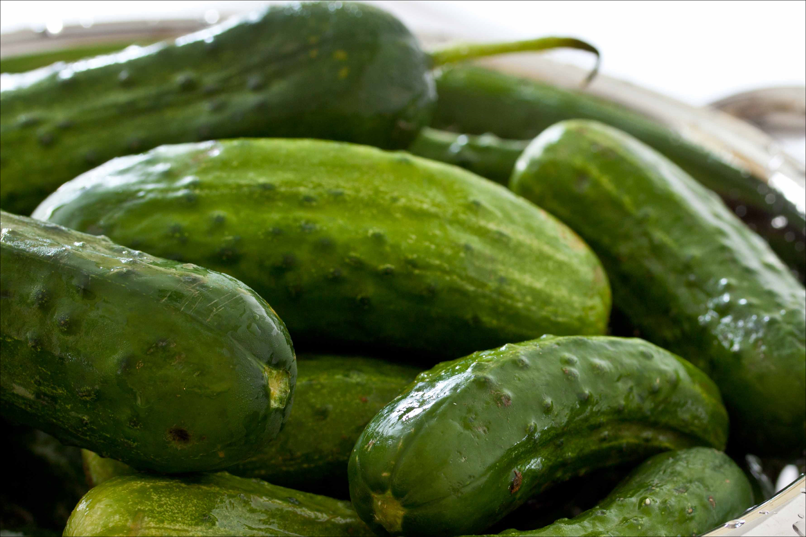 Cucumbers Carbohydrates Taking the 1200 Calorie Diabetic Diet