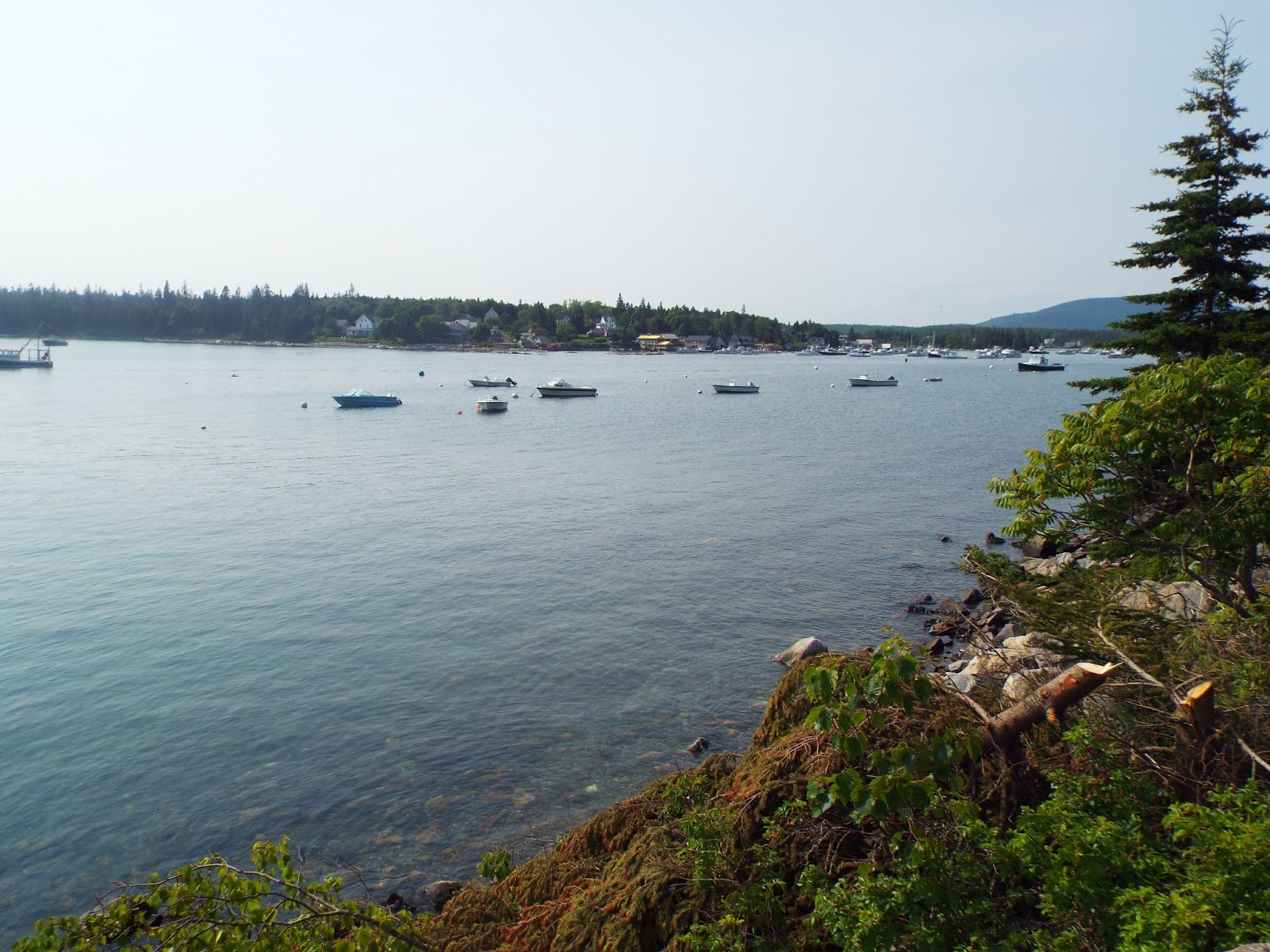 MAINE HOUSING REVIEWS BIRCHWOOD APARTMENTS, TREMONT, BASS HARBOR MAINE