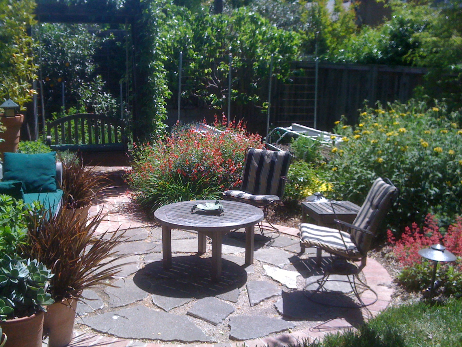 Geno's Garden Design & Coaching | : Lawns ... Hater? Lover? Neglecter?