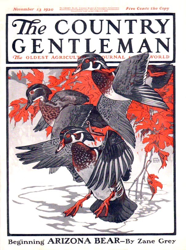 Country gentlemen. Журнальная Графика. Country Gentleman. The Country Gentleman обложки журналов. Gentlemen журнал.