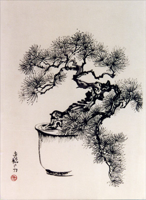 CARPE DIEM HAIKU KAI: ...
