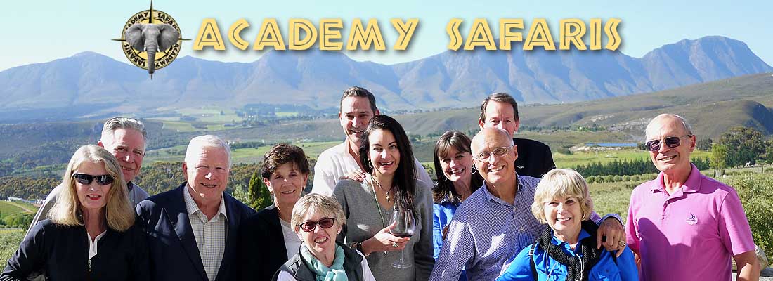 Academy Safaris