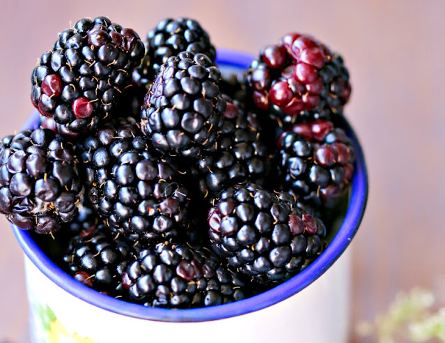 A bowl of freshly-picked blackberries