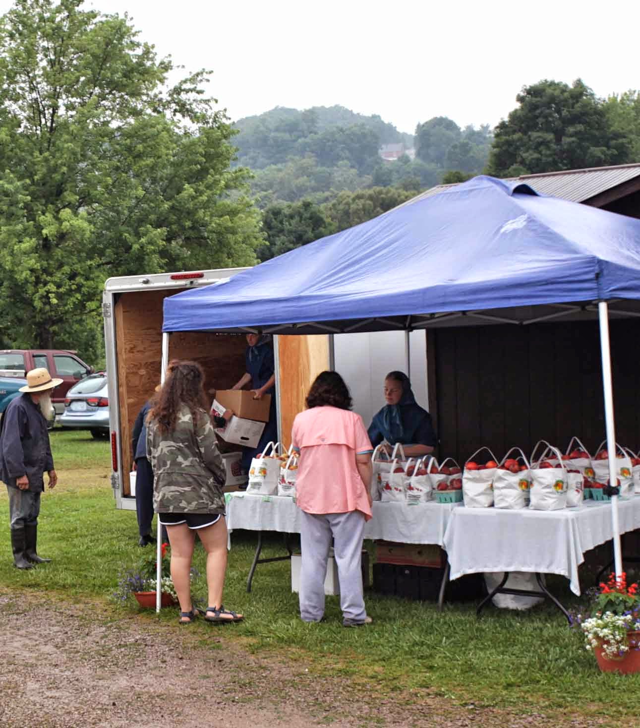 An Amish Market