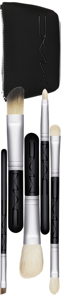 Beauty Exclusives M·A·C 'Look in a Box Advanced' Brush Kit