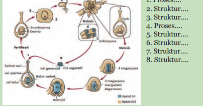 Kunci Jawaban Reproduksi Tumbuhan Secara Seksual Menghasilkan Biji Biji Dapat Ditanam Dan Tumbuh Menjadi Tumbuhan Baru Coba Tuliskan Struktur Ataupun Tahapan Yang Terjadi Pada Siklus Hidup Tumbuhan Yang Terdapat Pada Gambar 2 27