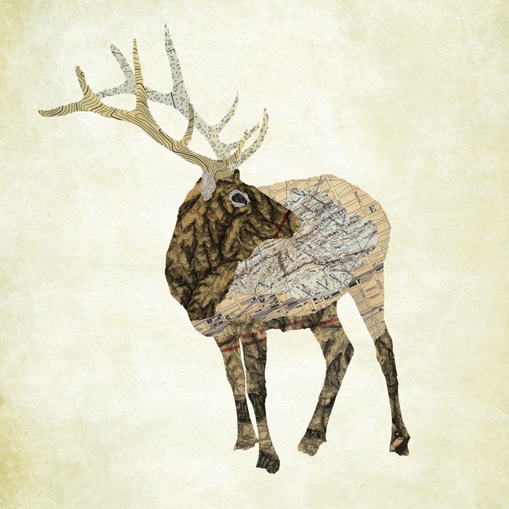 12-Elk-Moose-Jason-LaFerrera-Cartography-Shaped-to-make-Map-Animals-www-designstack-co