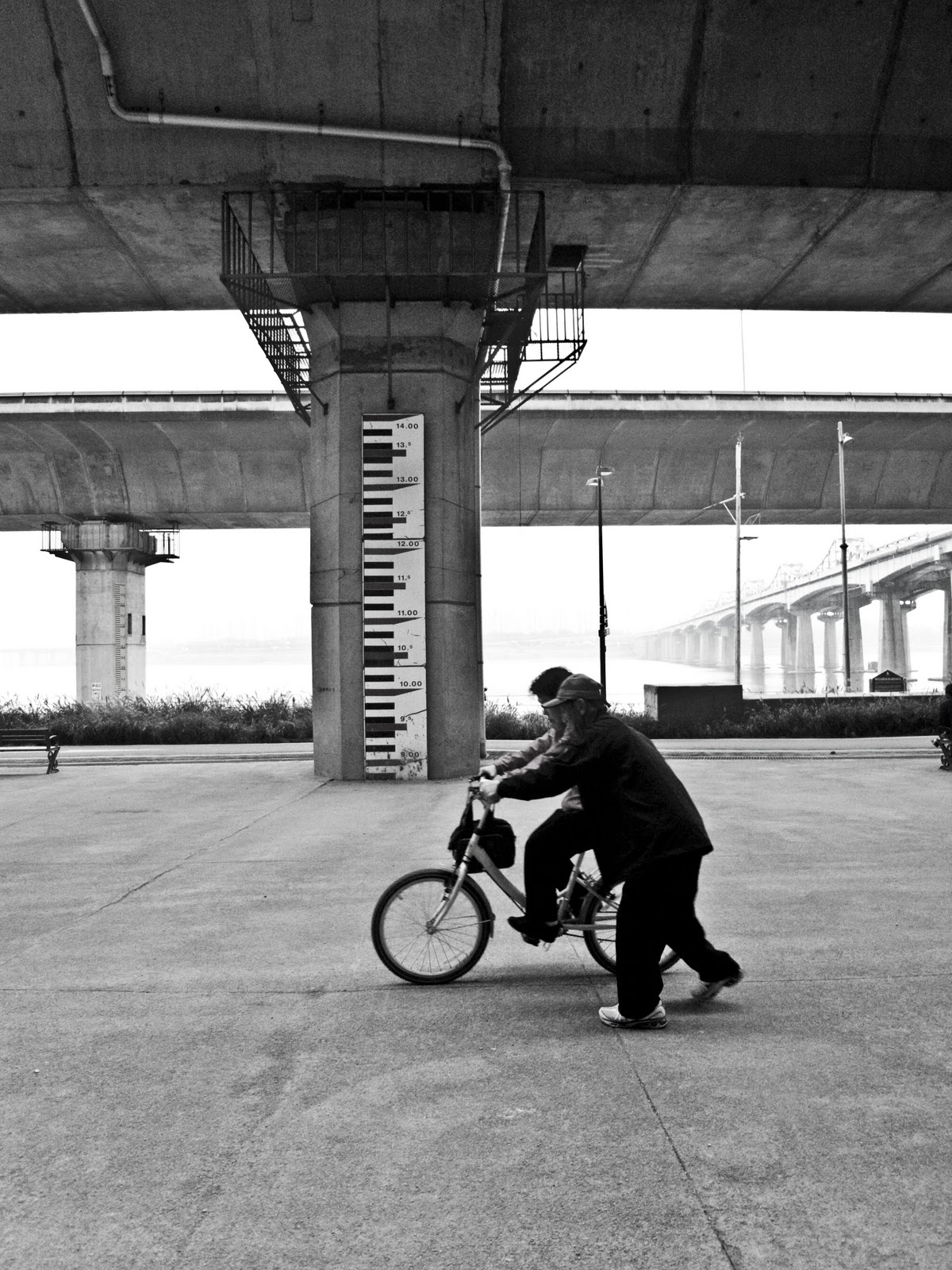 can an adult learn to ride a bike