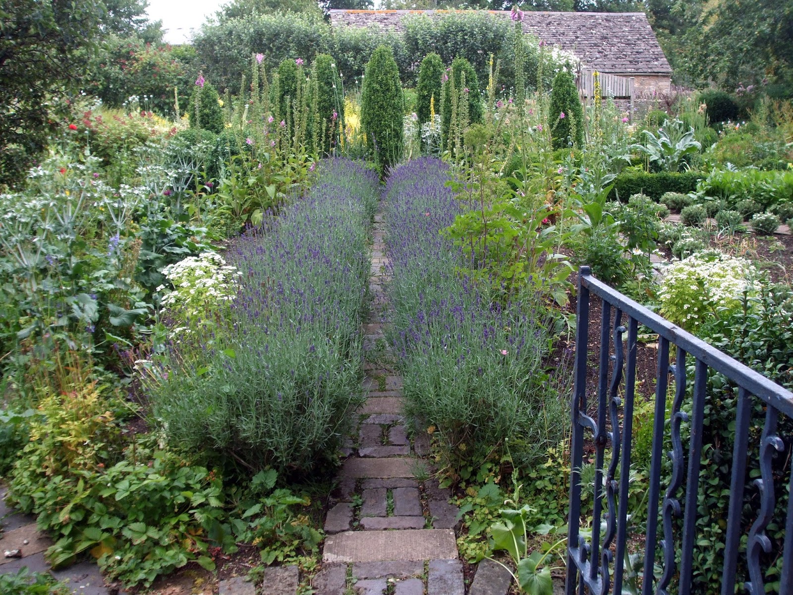 Rosemary's Sampler English Lavender