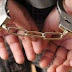 Συλλήψεις φυγόποινων στο Δελβινάκι Ιωαννίνων και στην Ηγουμενίτσα 