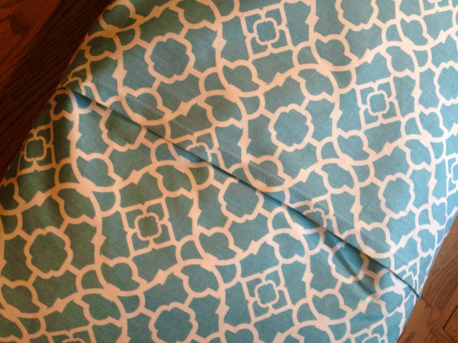 Anne Maddox Boutique Recycling Old Pillows for Fido