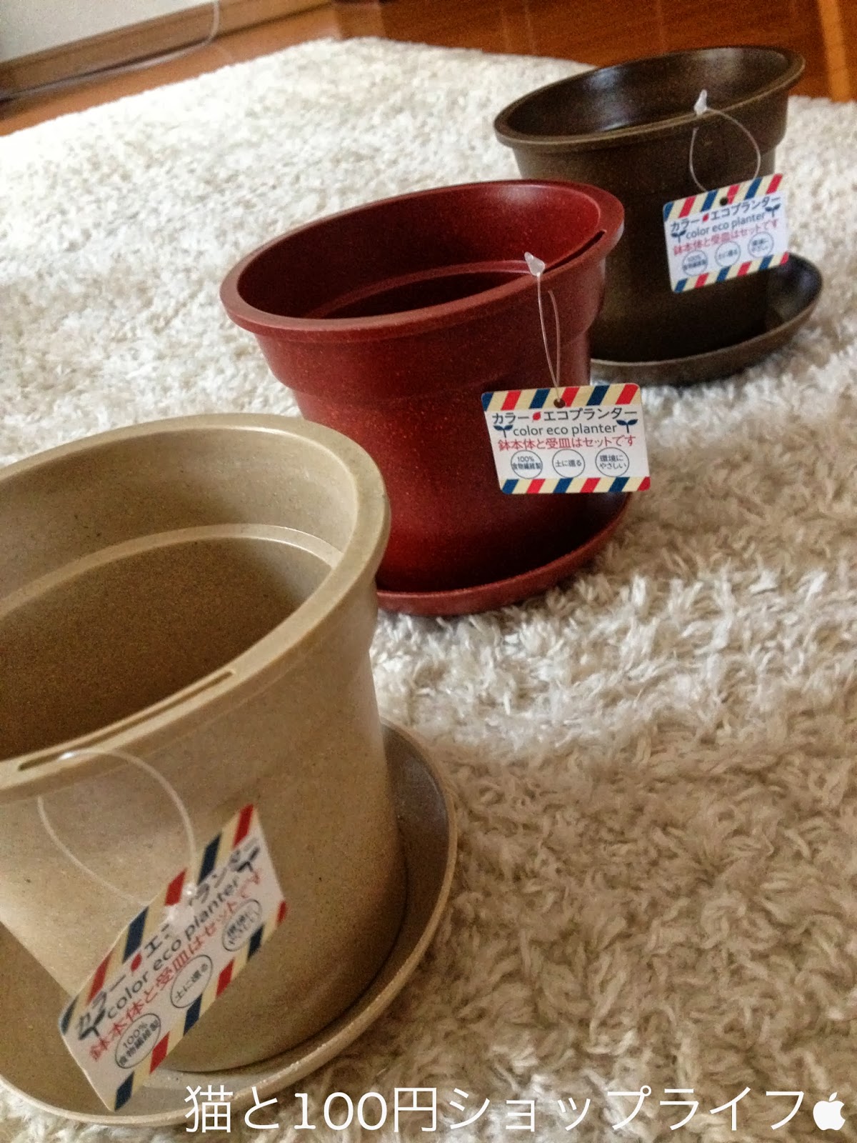 猫と100円ショップライフ 13