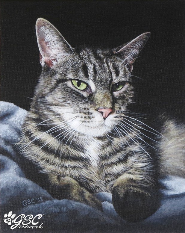 tabby gray cat feline animal custom pet portrait acrylic painting acrylics fine art