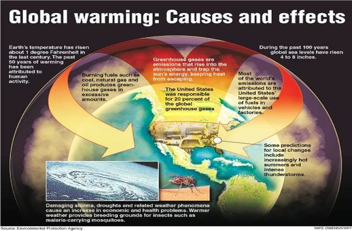 Global Warming Indicators