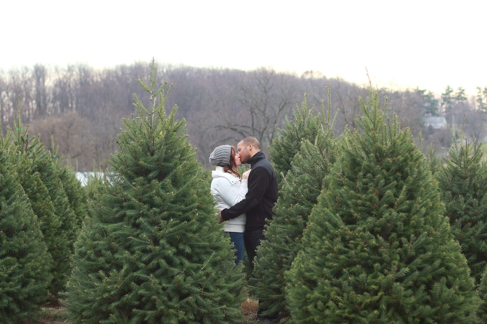 Chic meets Healthy AMANDA + CHRIS PINE VALLEY CHRISTMAS TREE FARM