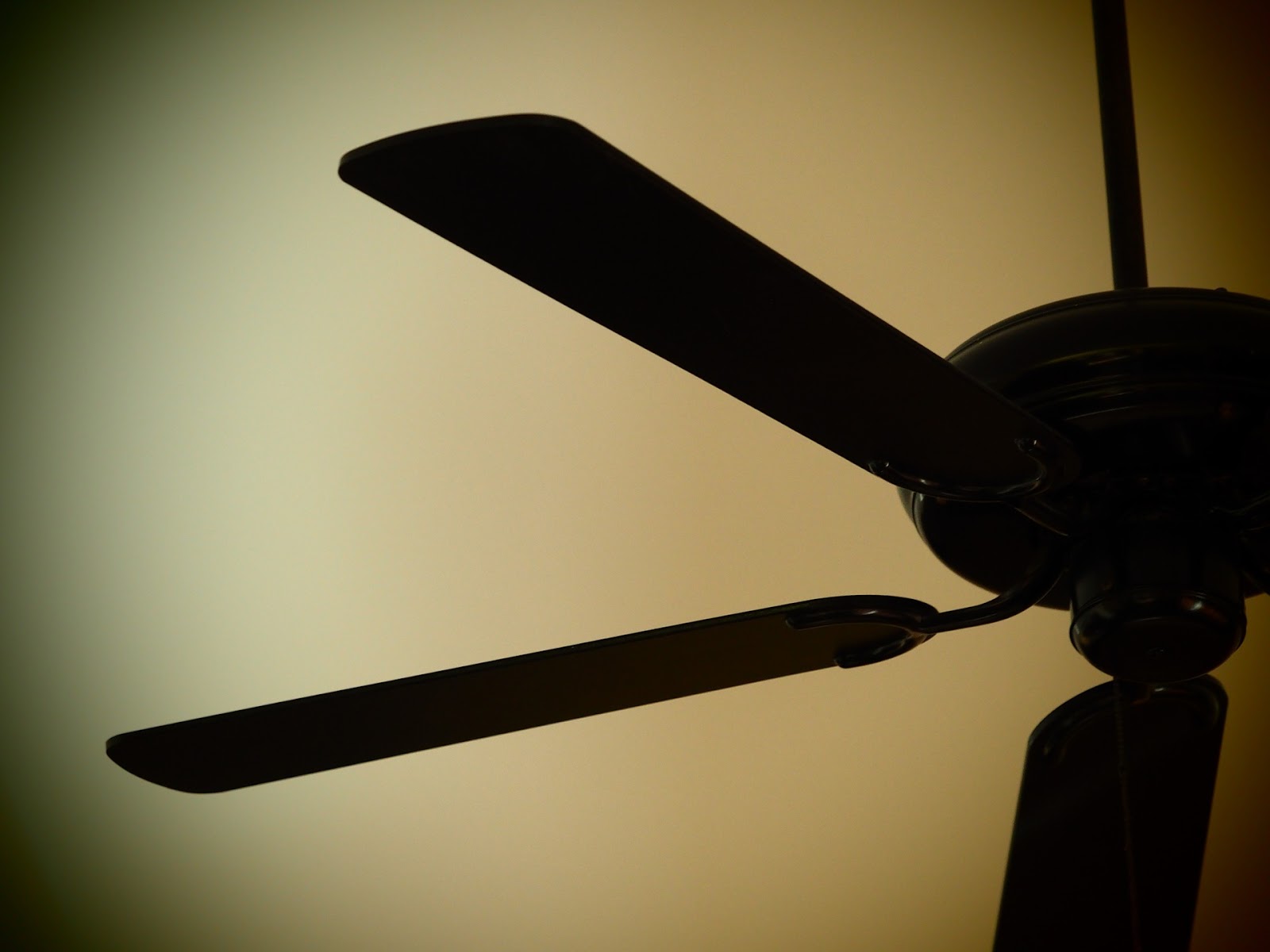 Office Ceiling Fans Yay Or Nay 1850 Thoughts