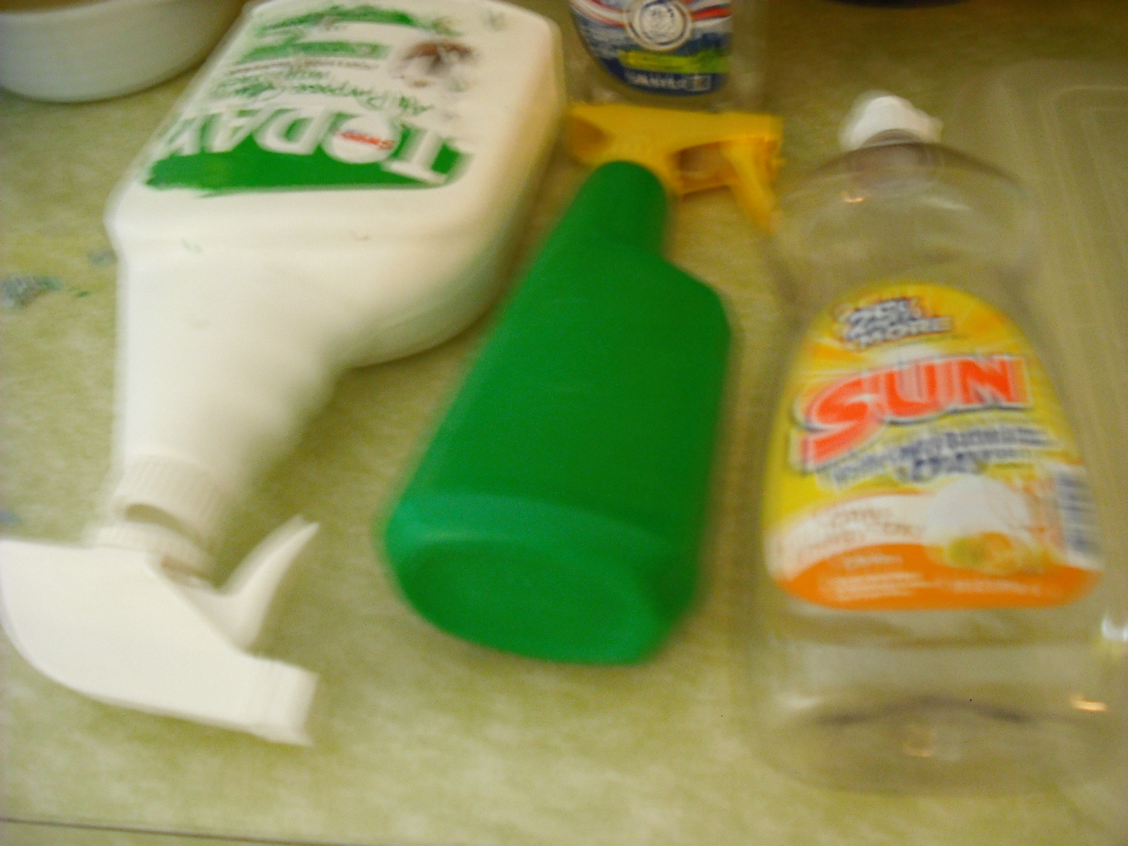 Savings House Saving Money Shopping and Thrifting Recycle detergent