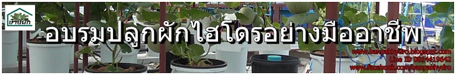 อบรมแอโร่โปนิกส์,ศูนย์เรียนรู้ระบบแอโร่โปนิกส์,[hkozydwVFfi,บ้านผักไฮโดร