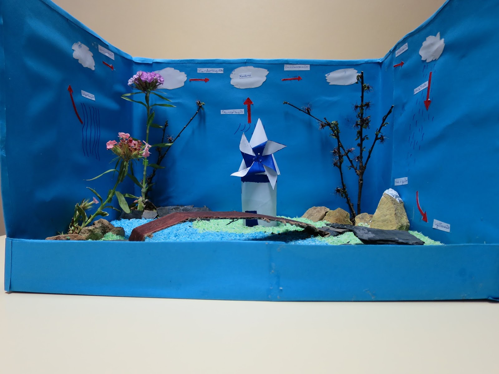 Maquete De Ciclo Da água BRAINCP