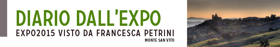 Diario dall'EXPO 2015 di Francesca Petrini