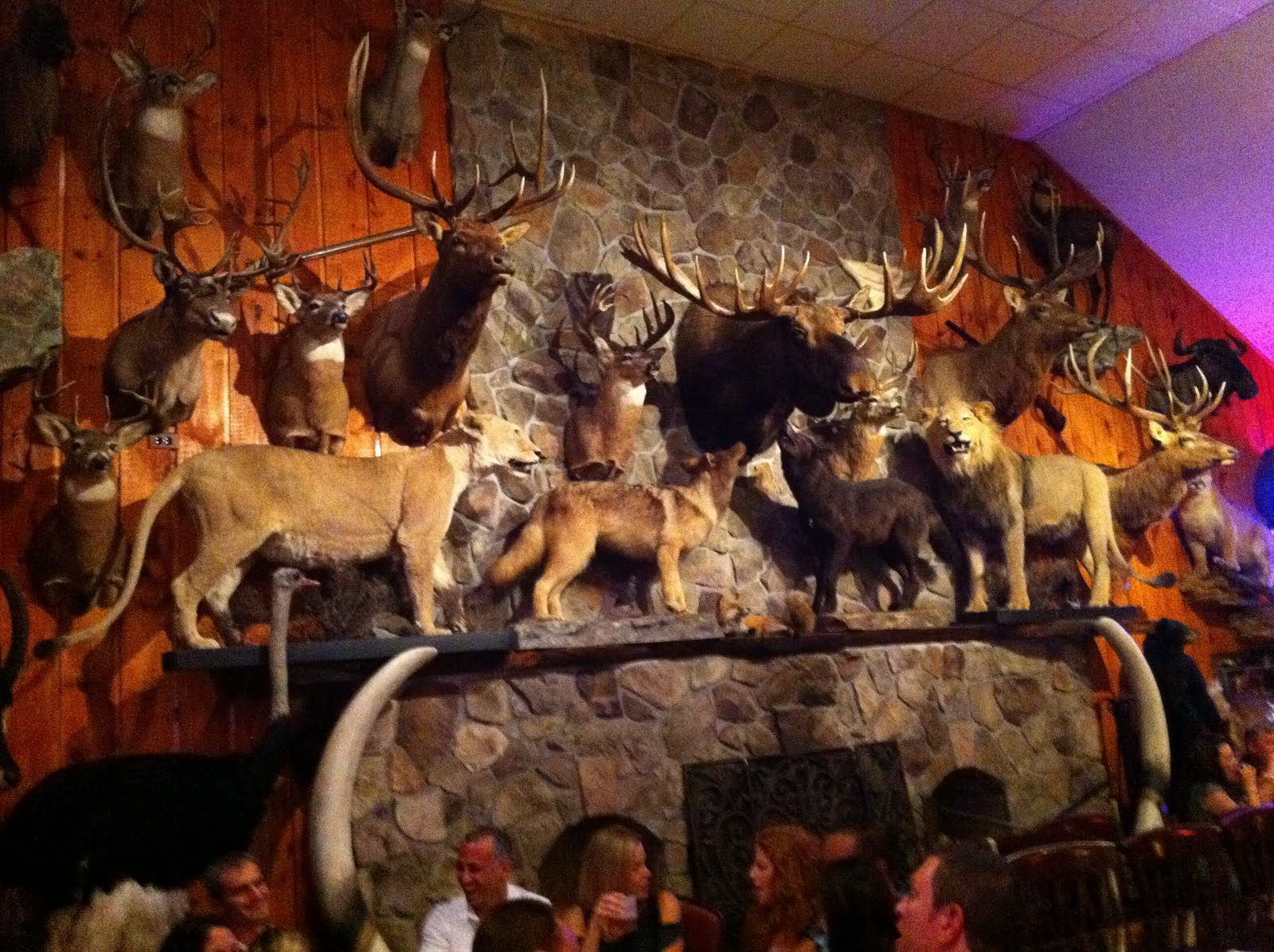 Mimi Packs Light: ANIMAL RIDDEN WALLS