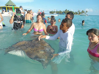 Qué hacer en San Andrés - Nadar con mantarrayas 