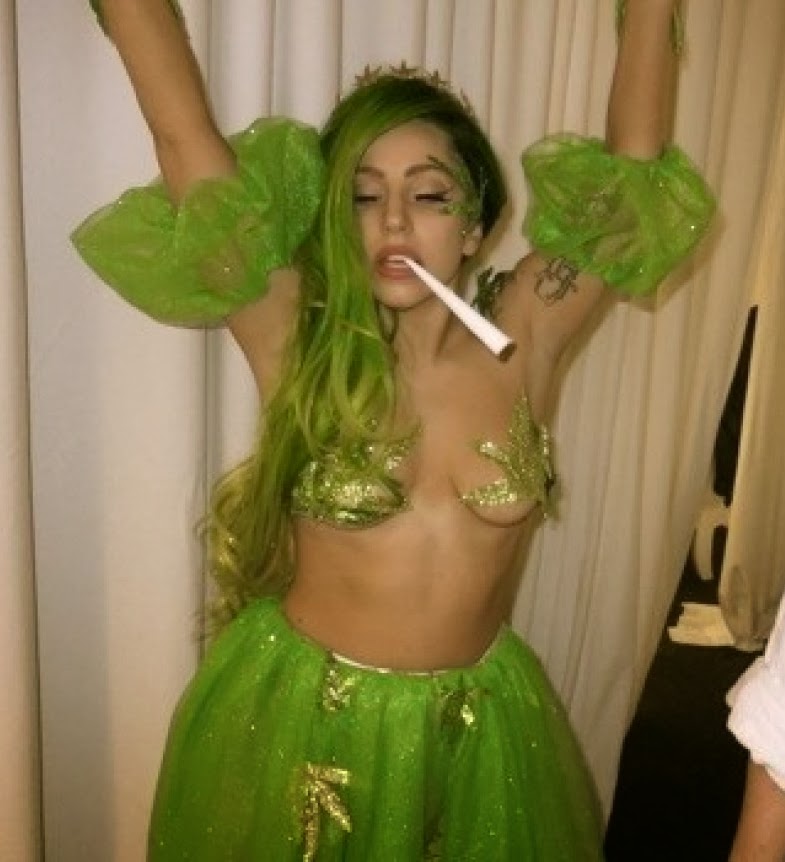 o-LADY-GAGA-WEED-COSTUME-facebook.jpg