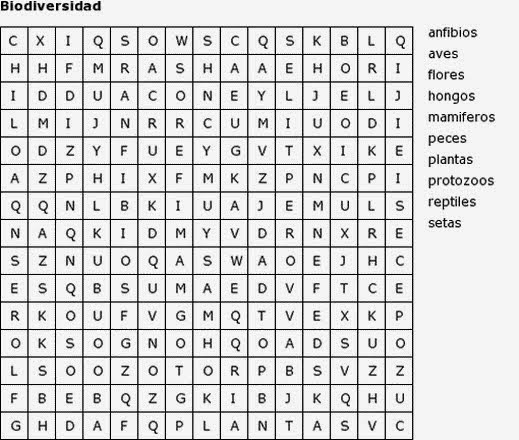 cadena alimenticia google translate actividad 1 sopa de letras cadena alimenticia google translate actividad 1 sopa de letras