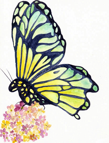 Green Yellow Butterfly Watercolors