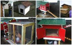 Adventures in Everyday Life: Chicken Coop
