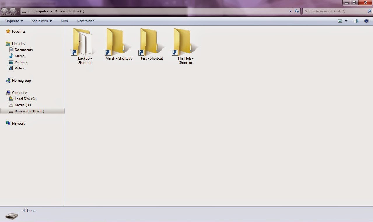 My Pen Drive Shows Only Shortcuts Bestffiles