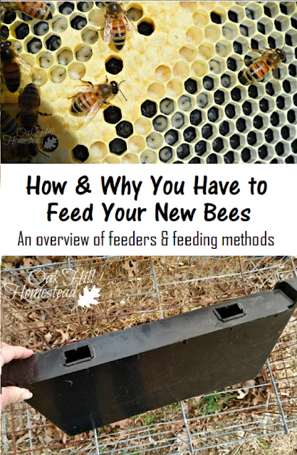 How, why and what to feed your new bees, an overview of bee feeders and feeding methods - from Oak Hill Homestead How, why and what to feed your new bees, an overview of bee feeders and feeding methods - from Oak Hill Homestead